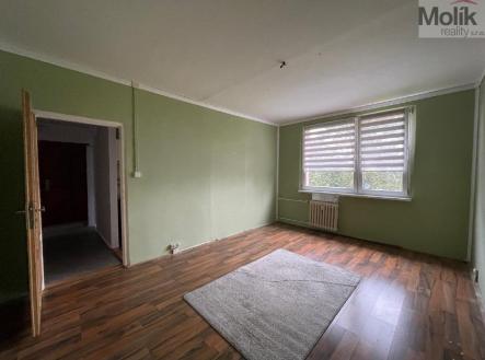 stažený soubor (2).jpg | Pronájem bytu, 2+1, 49 m²