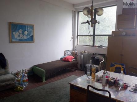 DSCF6779.JPG | Pronájem - komerční objekt, průmyslový areál, 23 000 m²