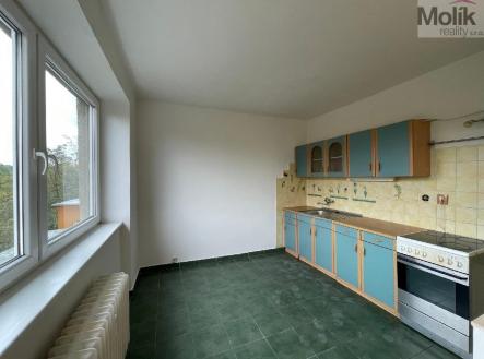 stažený soubor.jpg | Pronájem bytu, 1+1, 38 m²