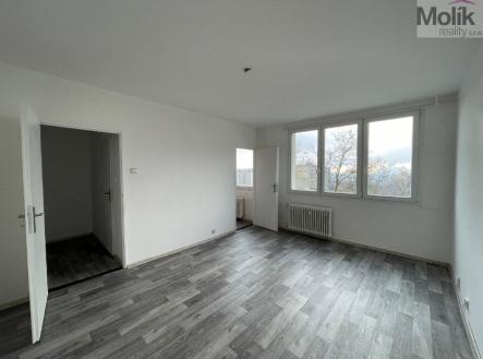 stažený soubor (1).jpg | Pronájem bytu, 1+kk, 27 m²