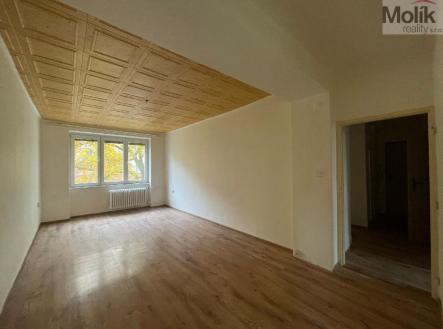 stažený soubor (4).jpg | Pronájem bytu, 2+1, 50 m²