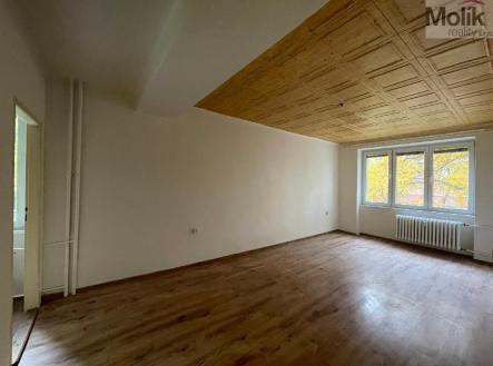 stažený soubor (5).jpg | Pronájem bytu, 2+1, 50 m²