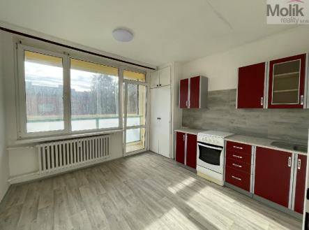 stažený soubor (2).jpg | Pronájem bytu, 1+1, 45 m²