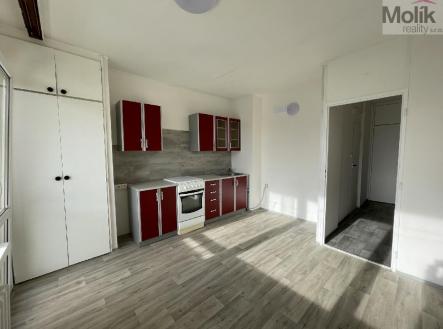 stažený soubor.jpg | Pronájem bytu, 1+1, 45 m²