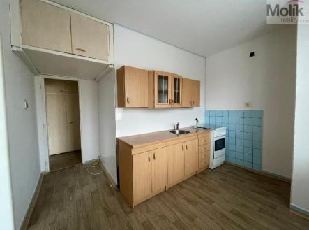 stažený soubor.jpg | Pronájem bytu, 2+1, 54 m²