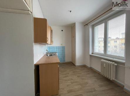 stažený soubor (1).jpg | Pronájem bytu, 2+1, 54 m²