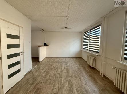 IMG-1953.jpg | Pronájem bytu, 3+1, 66 m²