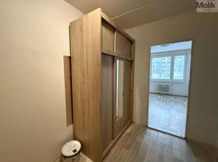 IMG-2559.jpg | Pronájem bytu, 2+kk, 40 m²