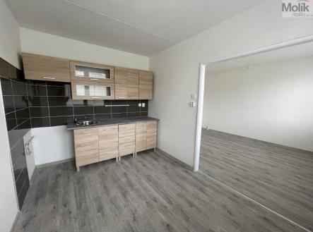 IMG_4578.jpg | Pronájem bytu, 4+1, 71 m²