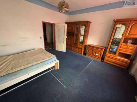 a7b82c94-318b-43ea-bda1-b06472aa6cee.jpg | Prodej - dům/vila, 400 m²