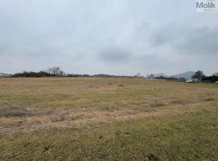 Prodej - pozemek pro bydlení, 6 842 m² obrázek