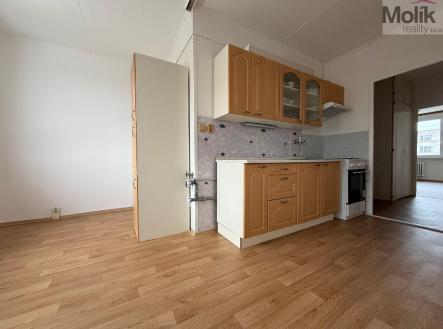 stažený soubor (1).jpg | Pronájem bytu, 2+1, 62 m²