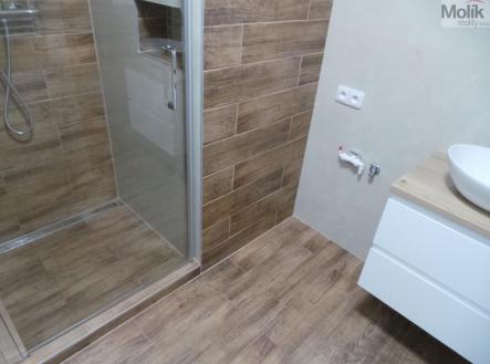 20250319_125415.JPG | Pronájem bytu, 2+1, 56 m²