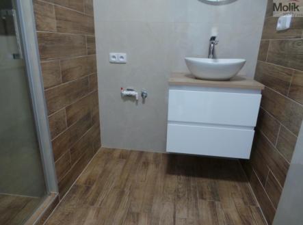 20250319_125359.JPG | Pronájem bytu, 2+1, 56 m²