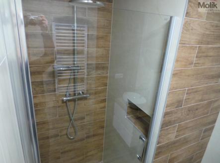 20250319_125424.JPG | Pronájem bytu, 2+1, 56 m²