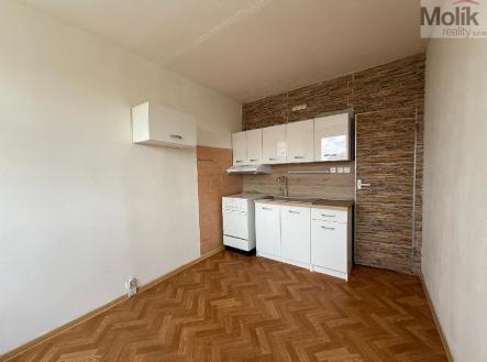 stažený soubor.jpg | Pronájem bytu, 3+1, 56 m²