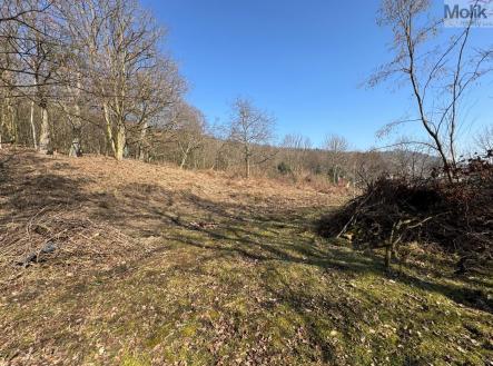 foto 1.jpg | Prodej - pozemek pro bydlení, 1 286 m²