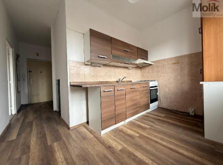 stažený soubor.jpg | Pronájem bytu, 2+1, 59 m²