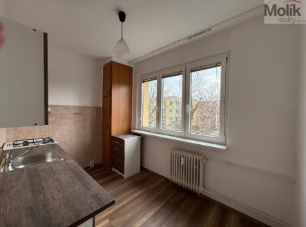 stažený soubor (1).jpg | Pronájem bytu, 2+1, 59 m²
