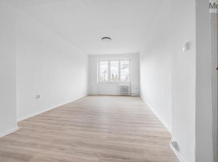 Most_rozliseni pro web-19.jpg | Pronájem bytu, 2+1, 54 m²