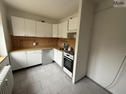 IMG-7369.jpg | Pronájem bytu, 3+1, 60 m²
