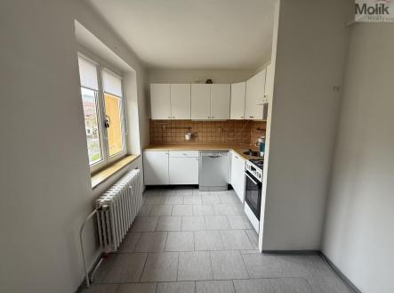 IMG-7371.jpg | Pronájem bytu, 3+1, 60 m²