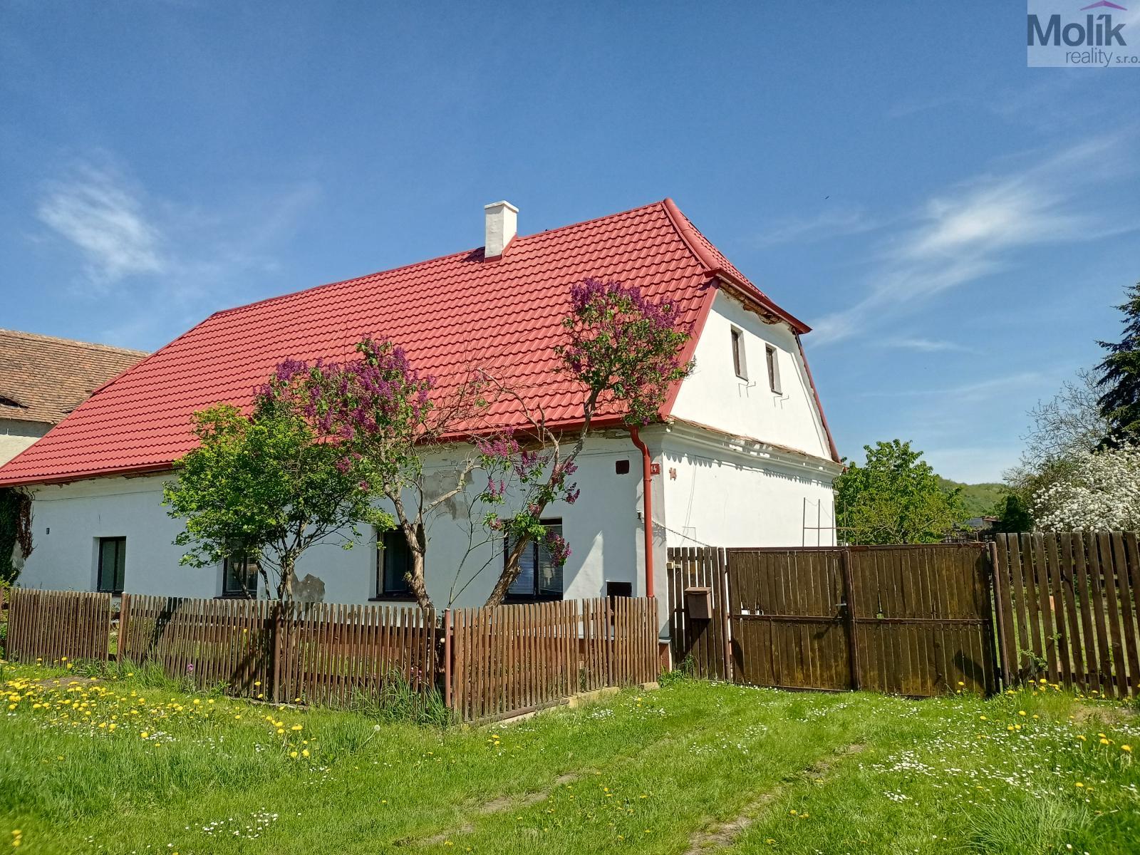 IMG20250429141649.jpg