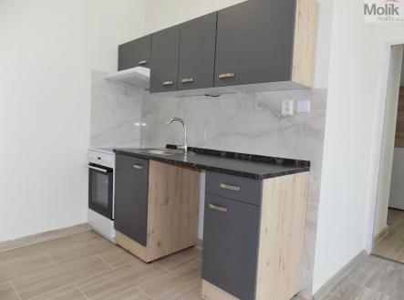DSCN8867a.jpg | Pronájem bytu, 2+kk, 44 m²