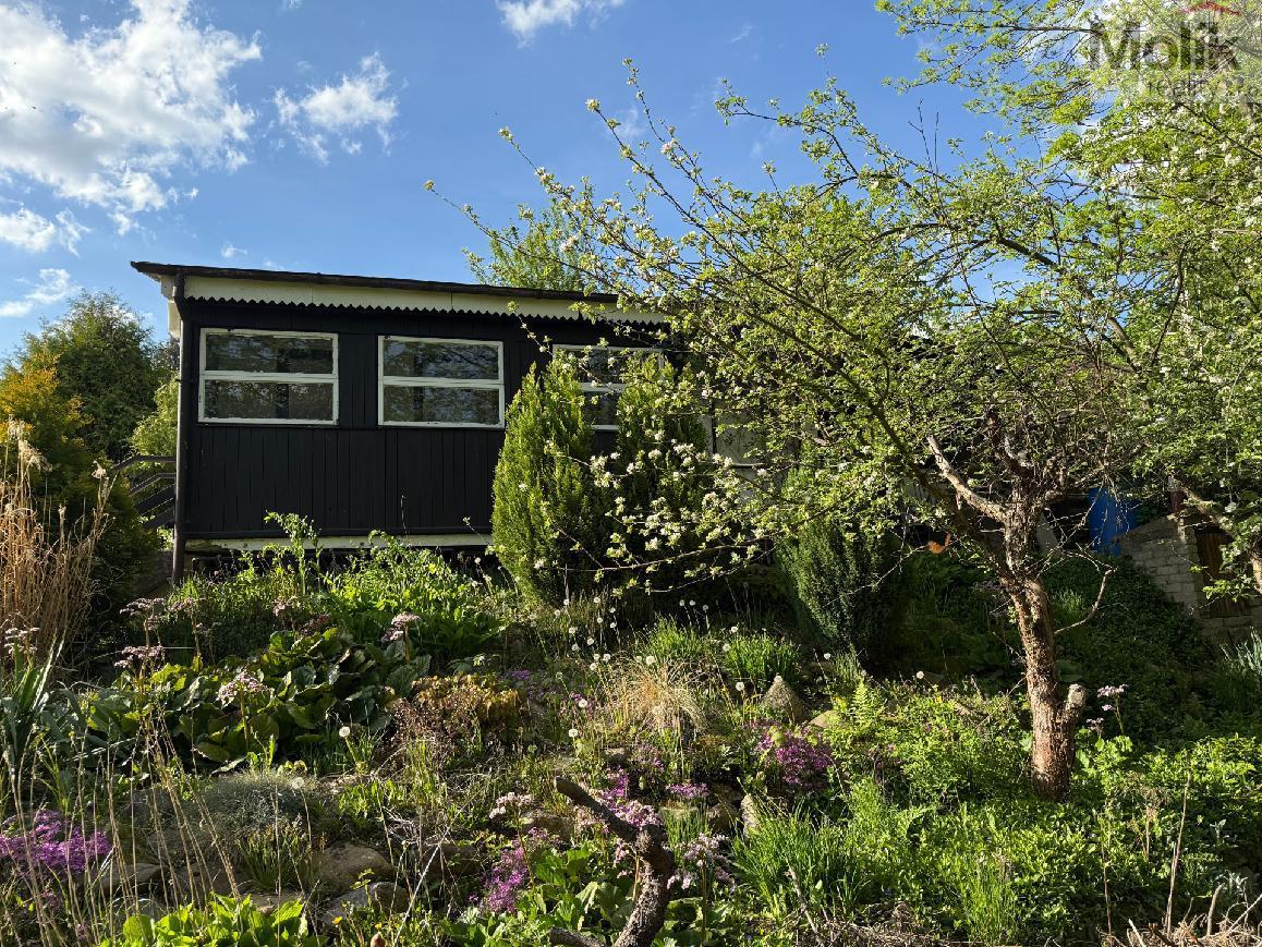 stažený soubor (17).jpg