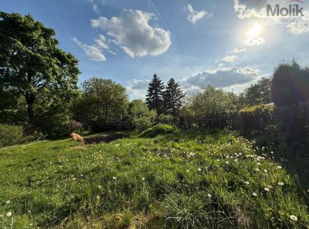 stažený soubor (9).jpg | Prodej - pozemek, zahrada, 443 m²