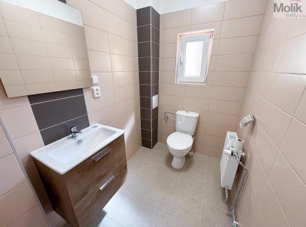 IMG_7619.jpg | Pronájem bytu, 1+1, 51 m²