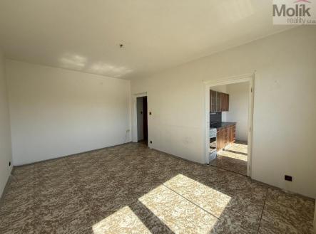 stažený soubor (6).jpg | Pronájem bytu, 1+1, 36 m²