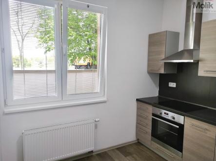 IMG-20230510-WA0011.jpg | Pronájem bytu, 2+1, 52 m²
