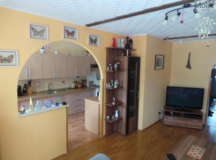 20250514_123246.JPG | Prodej bytu, 3+1, 68 m²