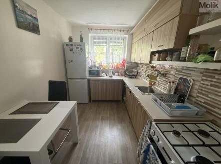 IMG-8796.jpg | Pronájem bytu, 2+1, 60 m²