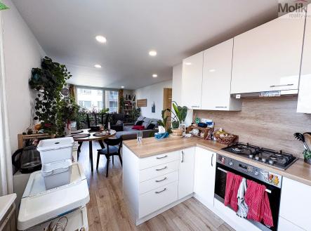IMG_8237.jpg | Pronájem bytu, 3+kk, 64 m²