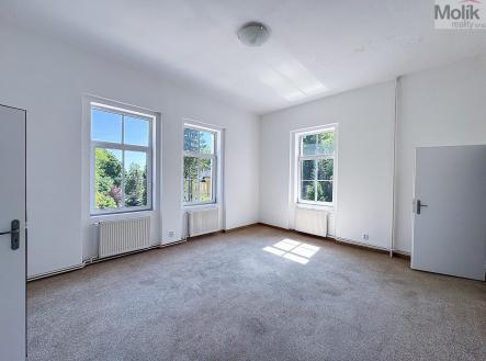 IMG_8132.jpg | Pronájem bytu, 2+1, 55 m²
