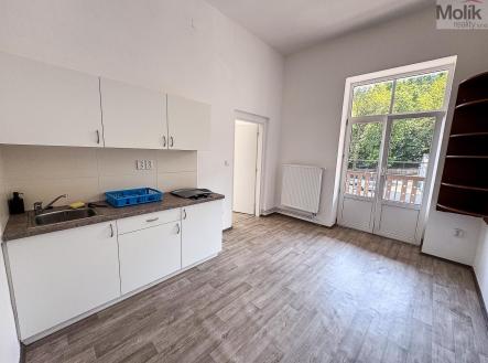 IMG_8137.jpg | Pronájem bytu, 2+1, 55 m²