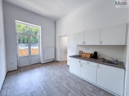 IMG_8128.jpg | Pronájem bytu, 2+1, 55 m²