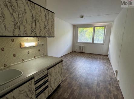 IMG_9162.jpg | Pronájem bytu, 2+kk, 40 m²