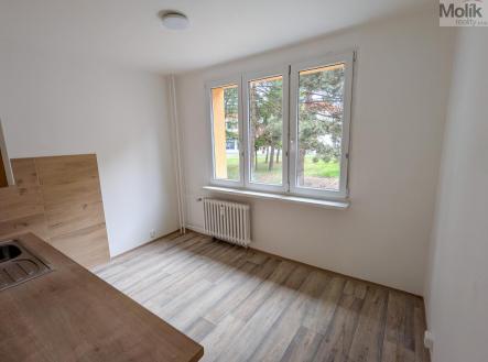 byt-6.jpg | Pronájem bytu, 2+1, 61 m²