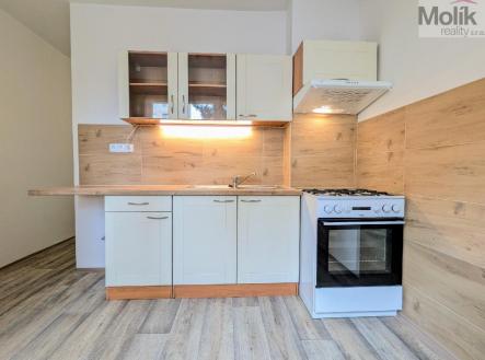 stažený soubor.jpg | Pronájem bytu, 2+1, 61 m²