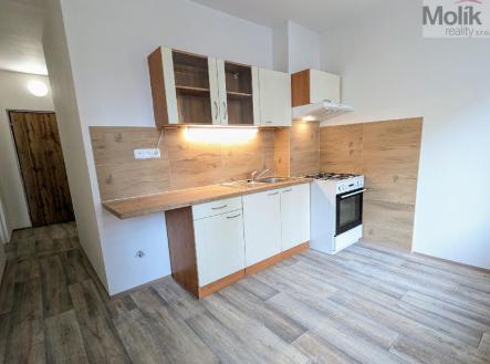 stažený soubor (1).jpg | Pronájem bytu, 2+1, 61 m²