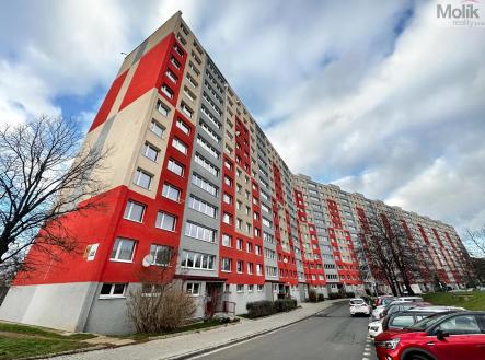 Pronájem bytu, 1+1, 34 m² obrázek