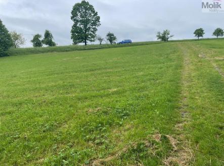 0b99c52b-b617-4c70-a72b-cca018ab1b4f.JPG | Prodej - pozemek, zemědělská půda, 33 045 m²