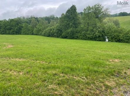 fb77eb42-46cb-4fab-b8d6-66e7aa4cf7d9.JPG | Prodej - pozemek, zemědělská půda, 33 045 m²