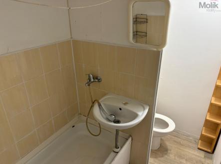 IMG-20250530-WA0000.jpg | Pronájem bytu, 1+kk, 29 m²