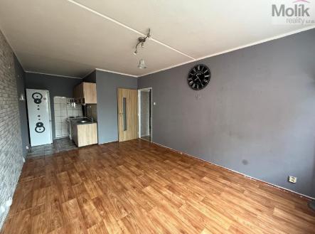 stažený soubor (4).jpg | Pronájem bytu, 2+kk, 40 m²