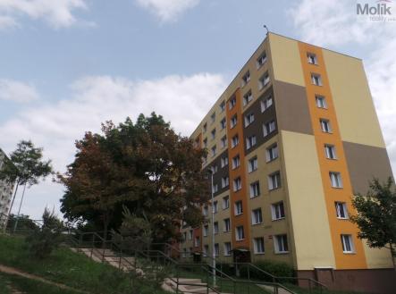 Pronájem bytu, 1+1, 33 m² obrázek