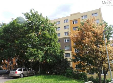 20250609_152823.JPG | Pronájem bytu, 1+1, 33 m²